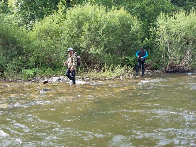 pêche de la truite aux leurres