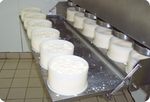 Lors de vos vacances en Auvergne découvrez la fabrication des fromages AOP.