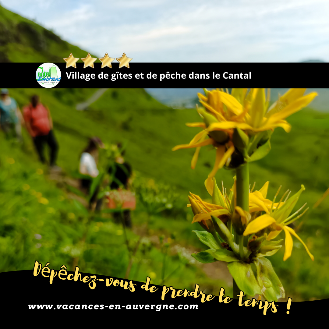 profitez des vacances dans le Cantal dans un cadre nature et préservé en bordure de rivière