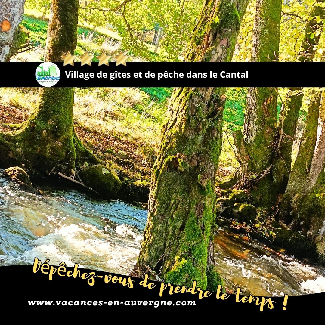 la nature à la porte de votre gîte chez Cantal emotions