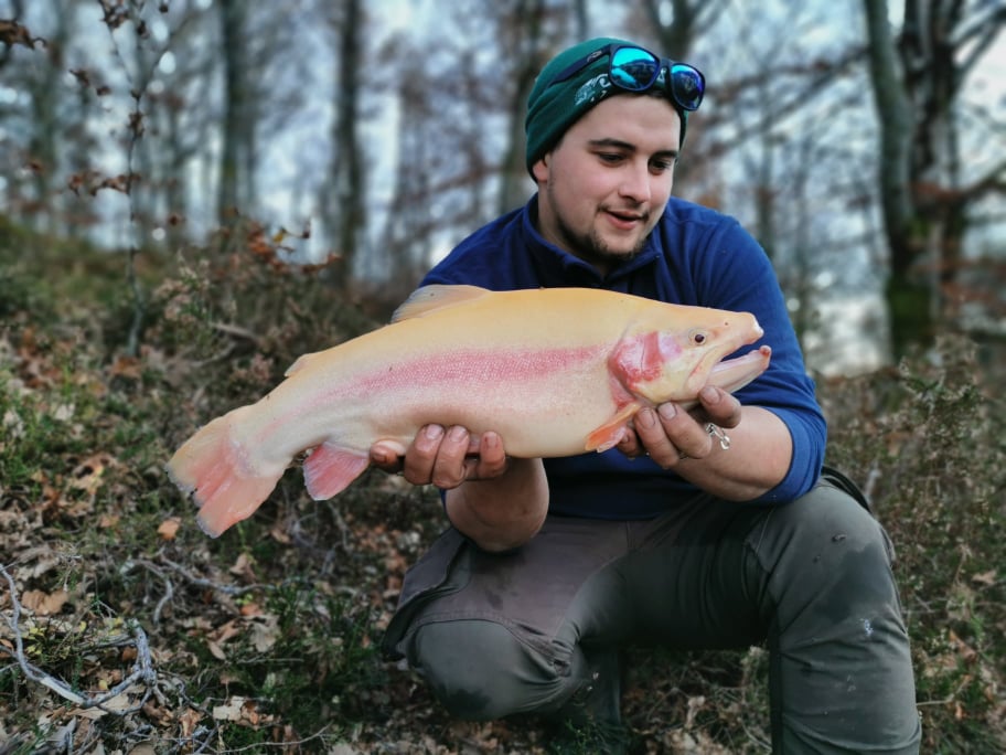 Matériel pêche truite: conseils pour votre équipement truite