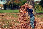 un automne animé dans le Cantal avec Cantal Emotions à Riom es Montagnes