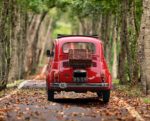 voyager en automne avec Cantal Emotions pour un voyge dépaysant en Auvergne