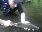 Guillaume, guide de pêche