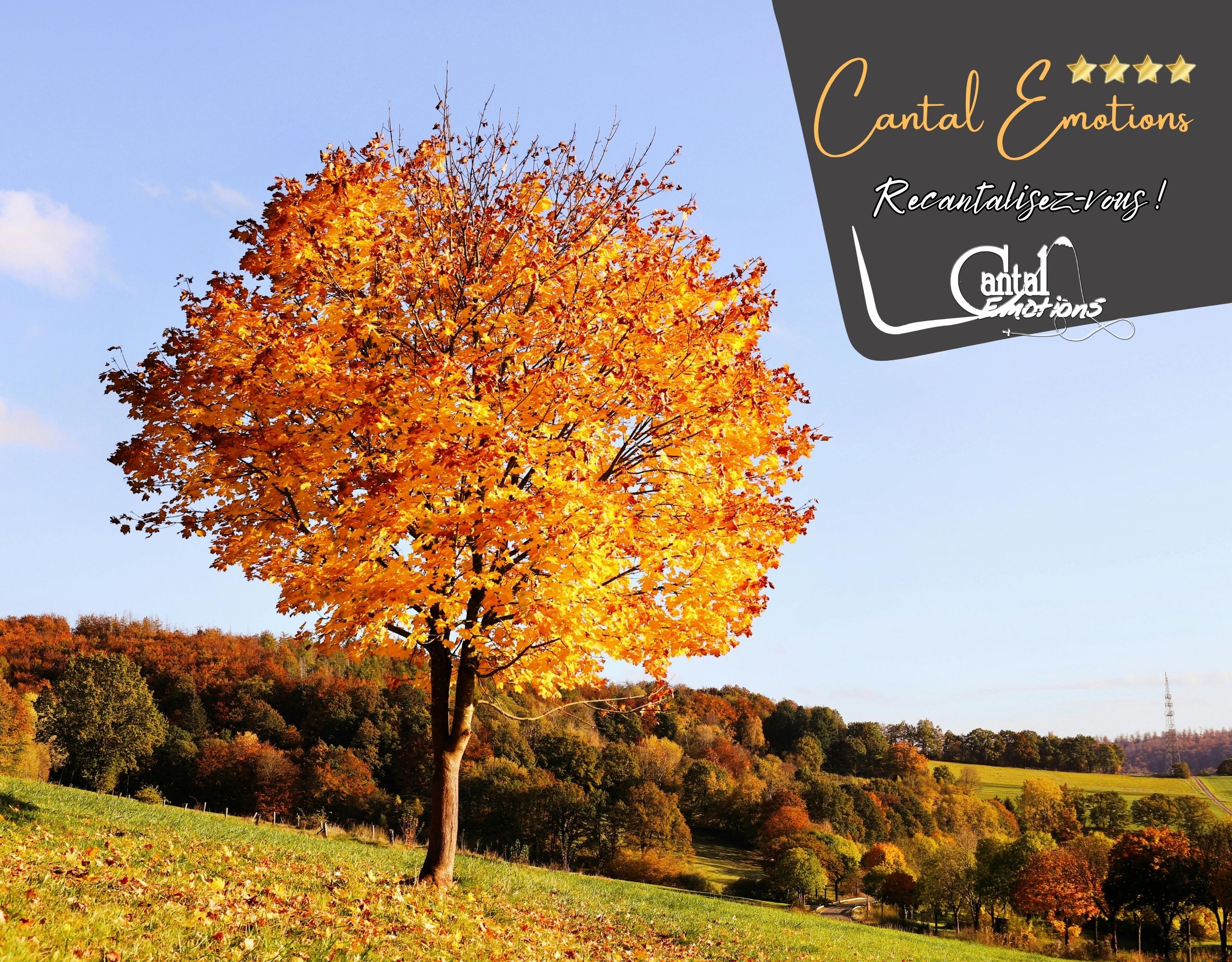 séjour en automne chez Cantal Emotions pour les vacances de Toussaint