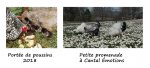 les animaux de cantal émotions sont en liberté - village de gites et de pêche en auvergne à proximité de Riom es Montagnes dans le Cantal